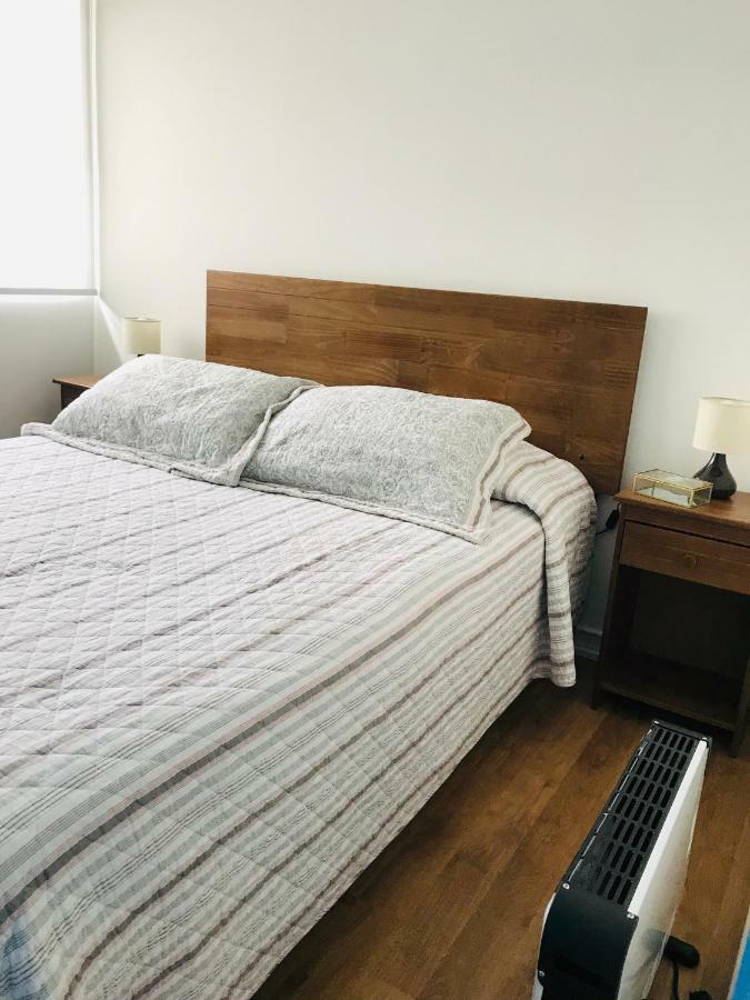 Casa Boutique Apartment Chillán Екстериор снимка
